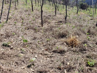 Finca en venta en Sanarate, El Progreso - Image 5
