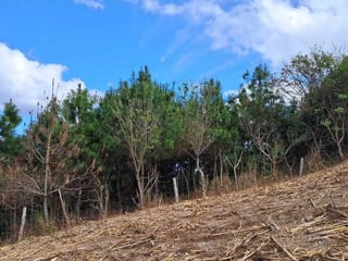 Finca en VENTA en San Pedro Ayampuc - 4