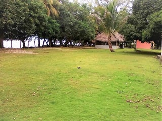 Los Amates zabal Terreno en venta  - 3