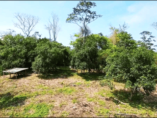 TERRENO EN VENTA EN RIO DULCE - 3