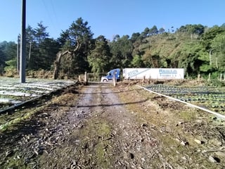 OPORTUNIDAD DE INVERSIÓN EN TACTIC, ALTA VERAPAZ - 3