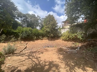 Venta de terreno rustico en San Lucas - 5