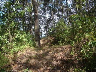 Vendo terreno en Km. 6 a San Jose Pinula Palencia - 2