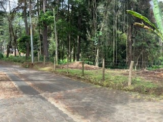 Terreno Residencial en Venta El Encinal Tronco 2 Mixco - 4