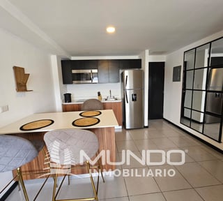 APARTAMENTO AMUEBLADO EN VENTA EN ZONA 14