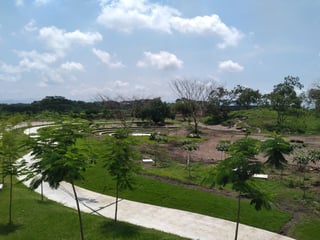 Terreno industrial en Michatoya Pacifico Escuintla - 5