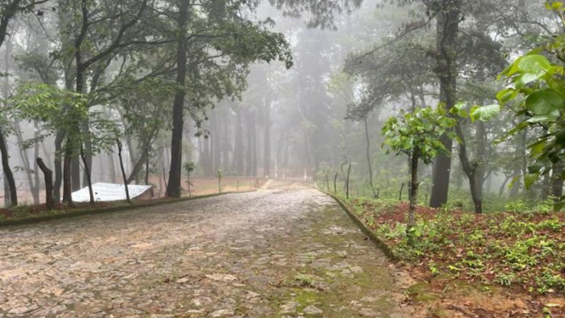 Venta de amplio terreno en Choacorral, San Lucas  Sac!