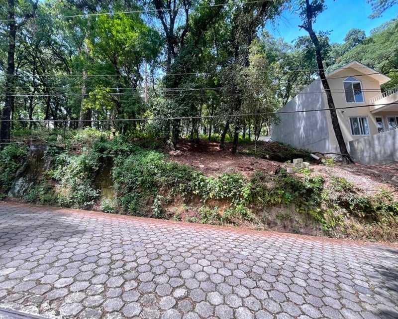 Venta de terreno en Labor de Castilla Km 24.5  Carretera Interamericana