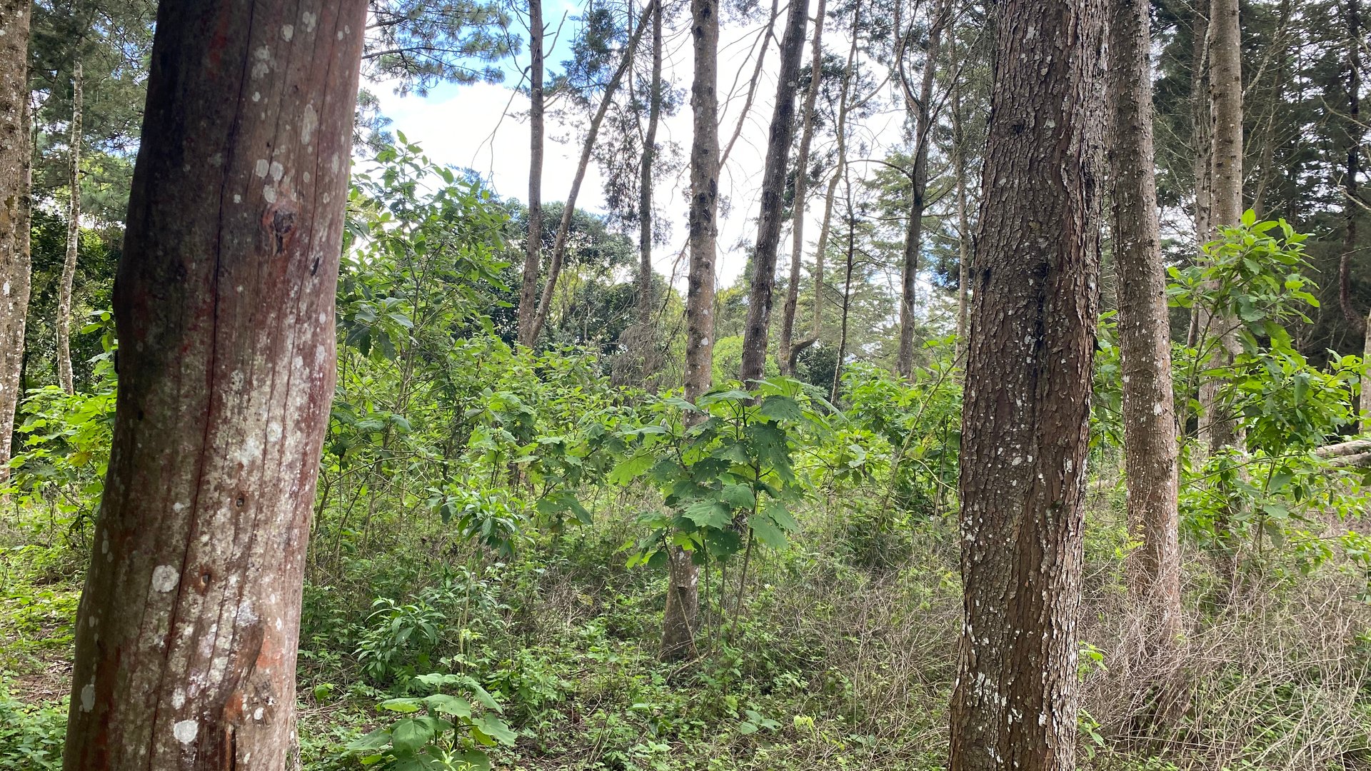 Terreno en Venta Aldea El Platanar, San José Pinula, Guatemala - Miniatura 4