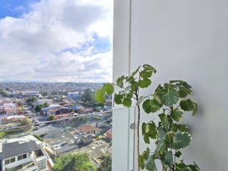 Apartamento en Venta Villa Mariscal Zona 11 Guatemala - 4