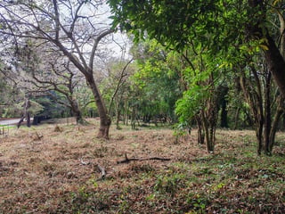 En Venta Terreno en Casa   Campo Guatemala - 5