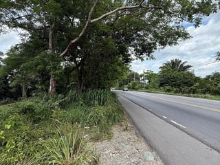 Terreno en Venta – Km 240 CA-9, Ruta al Atlántico, Morales, Izabal - 2