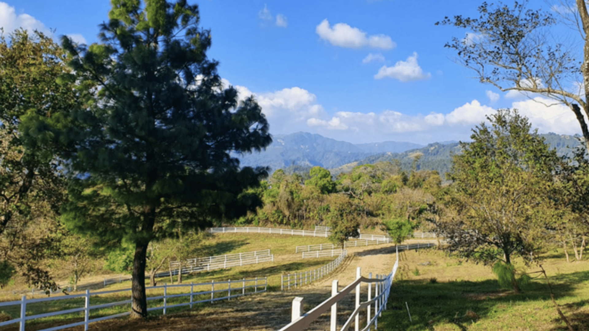 ATITLÁN / Terreno en venta SAN ANDRÉS LAKEVIEW - Miniatura 4