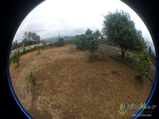 Vendo Terreno de 7,250vrs² adelante de Ciudad Peronia - 4