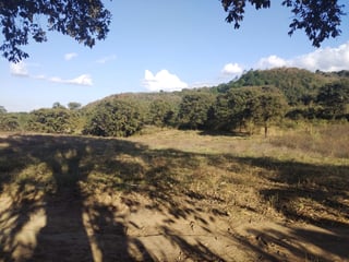 TERRENO EN VENTA EN ZONA 18 – OPORTUNIDAD PARA DESARROLLO INMOBILIARIO - 4