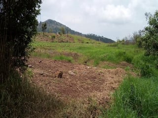 Vendo terreno ideal para desarrolladores en calle real, zona 18  - 5