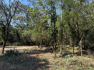Lote en Venta RioSul, Escuintla, Guatemala - 3