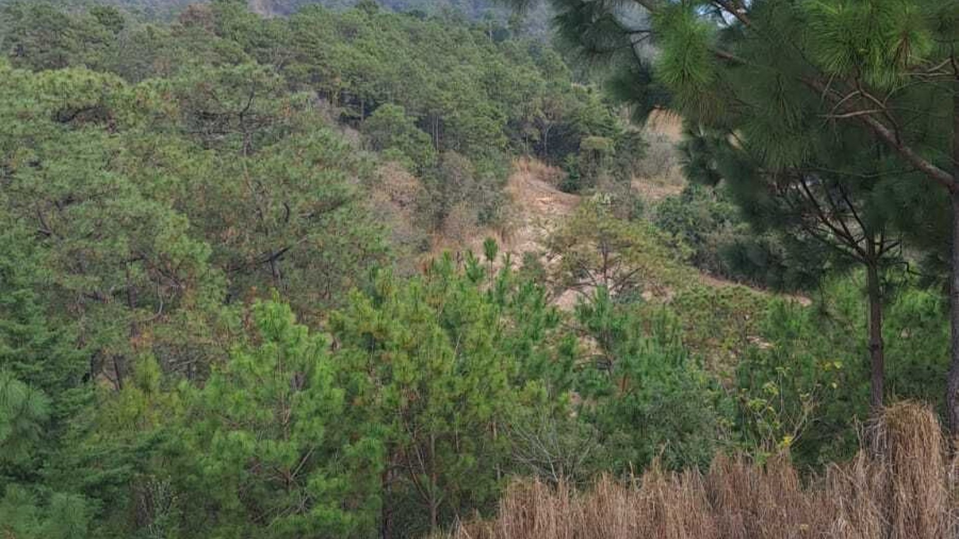 Finca en VENTA en San Pedro Ayampuc - Miniatura 2