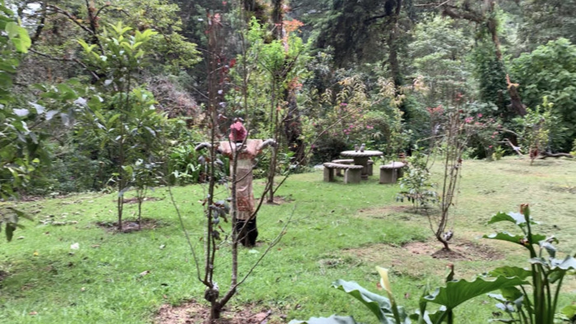 Finca en venta en Santiago Sacatepequez - Miniatura 12