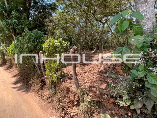 TERRENO EN VENTA EN SANTA ELENA BARILLAS - Image 3