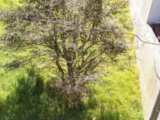 Terreno en Venta Terravista Coventry Carr a El Salvador - Image 3