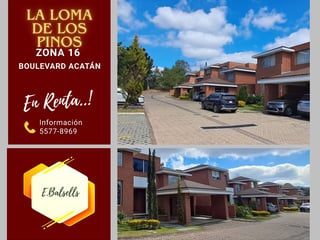 ZONA 16, LA LOMA DE LOS PINOS, HOUSE IN RENT - Image 1