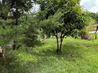 Terreno en Venta - 6717 v2 km18.5 Carr a San Juan Sacatepéquez, El Naranjito Mixco - 4