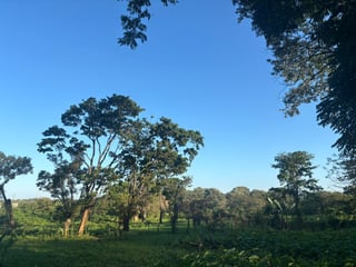 Terreno en Venta en Cuyamel Omoa, Cortés Honduras - 4