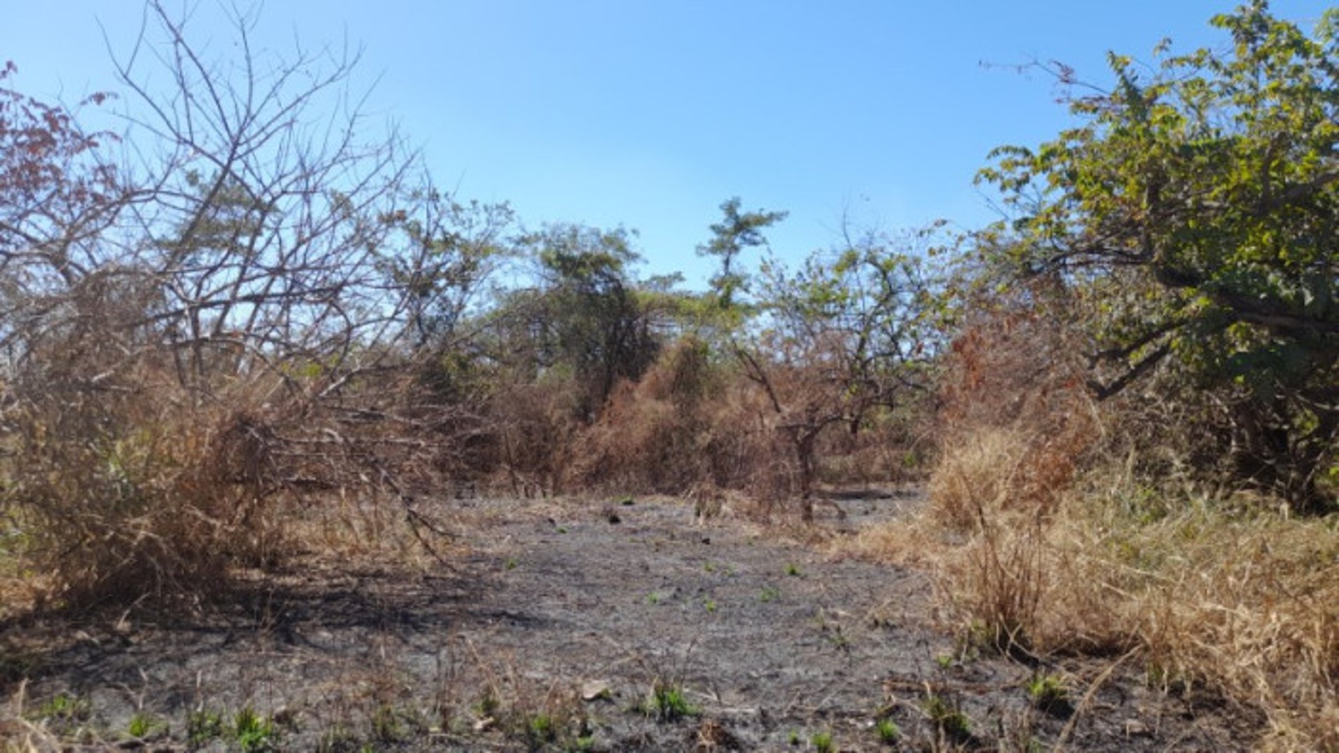 Terreno de 14 x 50 metros en Venta Quintas Malibu - Miniatura 3
