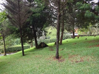 TERRENO EN VENTA EN SANTA ROSALIA LA LAGUNA - 2