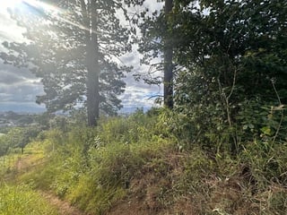 Terreno en venta para desarrollo en zona 16 - 2