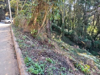 TERRENO EN VENTA EN STA ROSALIA LA LAGUNA - 5