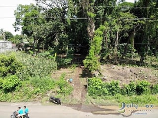 Terreno en venta en Suchitepequez Cuyotenango - Image 3