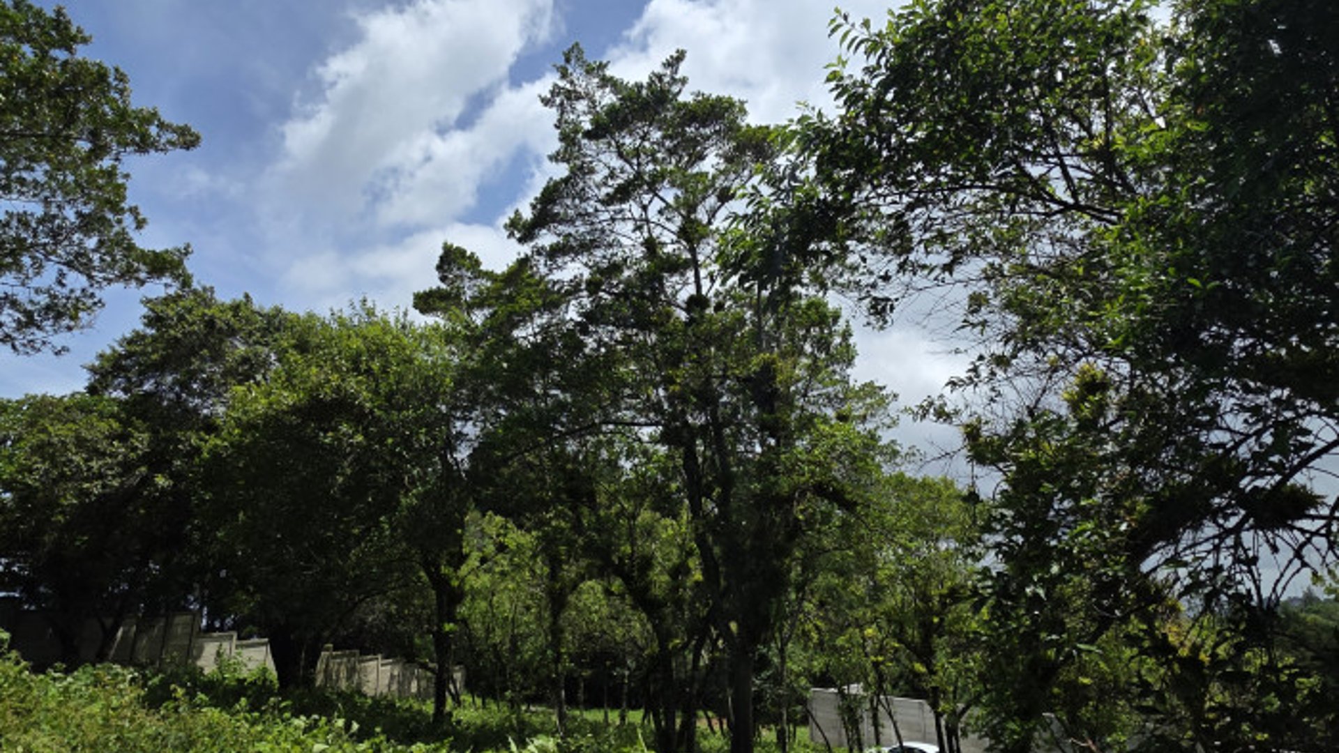 Terreno Venta Altos San Vicente Sta. Catarina Pinula - Miniatura 12