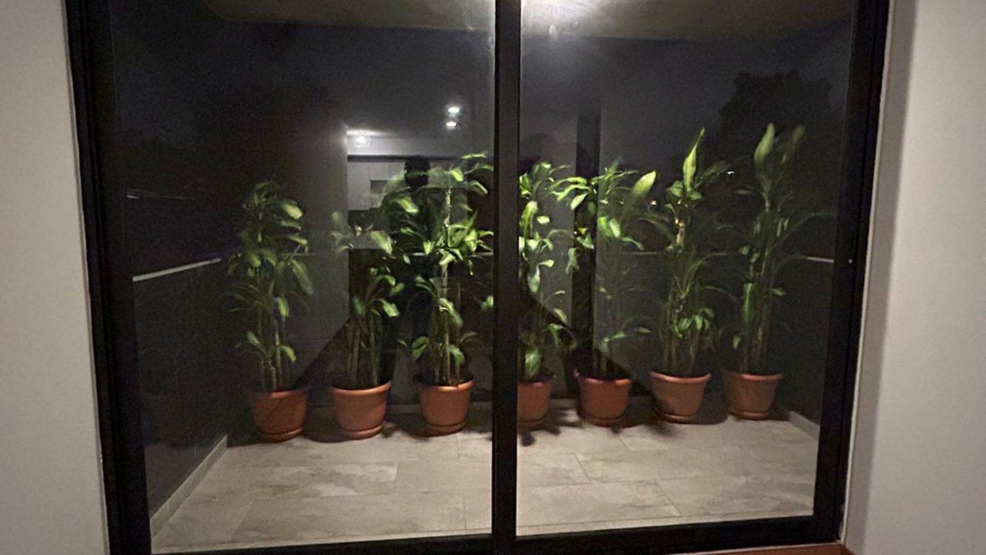???? APARTAMENTO EN VENTA – 2 HAB | EDIFICIO VIDALTA | ZONA 11 - Miniatura 4