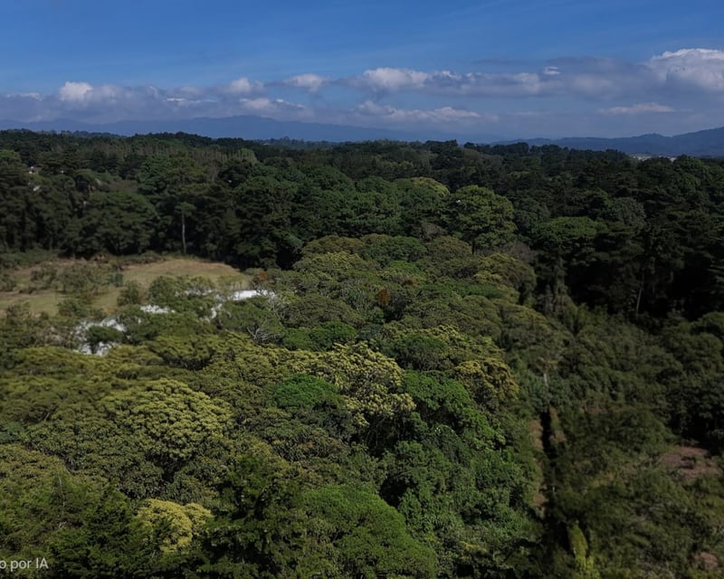 Exclusive Land in Casa y Campo, Carretera a El Salvador - $750,000 USD
