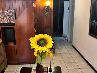 📍 CASA EN RENTA – 3 HABITACIONES  | JARDINES DE LA ASUNCIÓN | ZONA 5 - 3