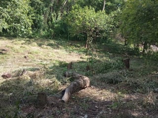 Terreno en Venta en Masagua, Escuintla | Oportunidad Inmobiliaria - 2