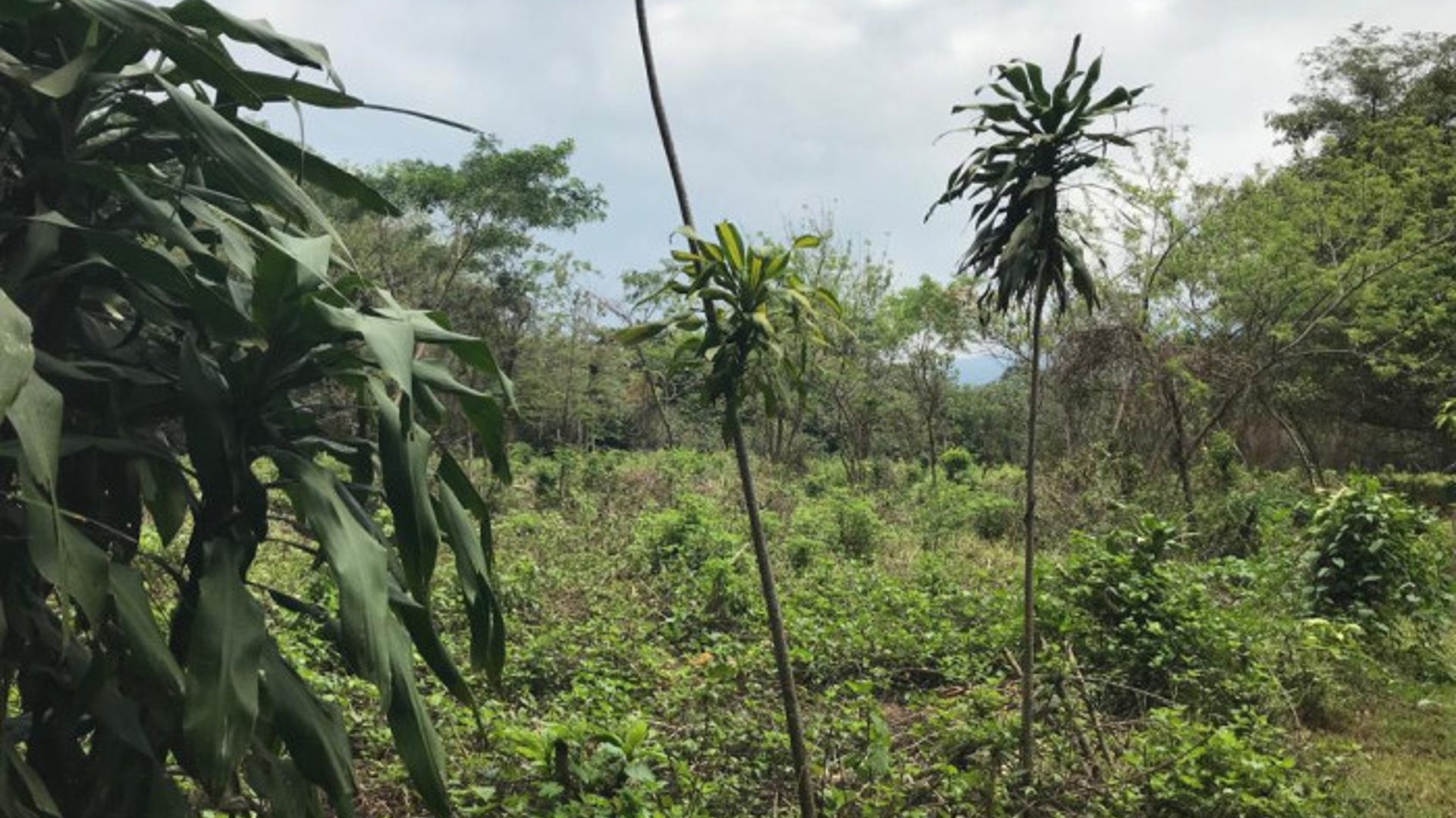 TERRENO EN VENTA CAMPO AVENTURA PALIN ESCUINTLA - Miniatura 13