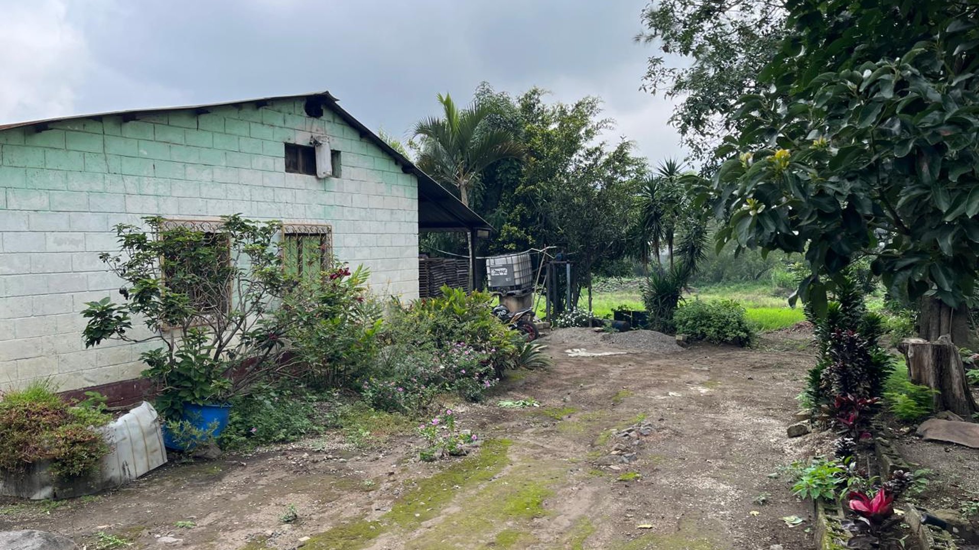 VENTA Terreno Los Sauces Km.37 Palín Escuintla - Miniatura 9