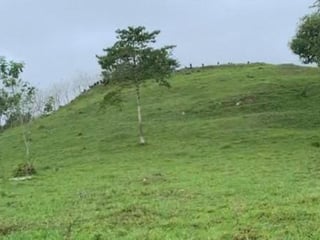 Finca en Venta en el Chal Petén - 2