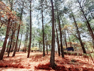 Terreno en Venta en Santo Domingo Xenacoj Sacatepequez - 3