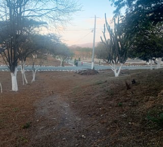 Terreno en Venta / Prados de Usumatlán, Zacapa