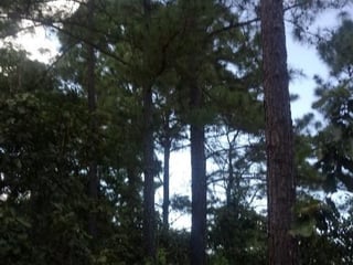 Finca en venta en San Pedro Ayampuc de 7.6 Manzanas - Image 13