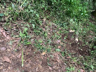 Terreno en Venta Molino de Las Flores II Zona 2, Mixco - 5
