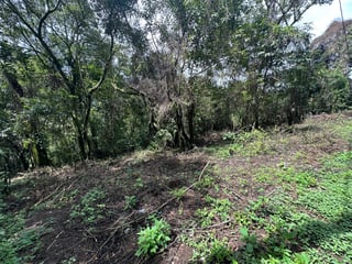 VENTA TERRENO EN GRANJA BUENOS AIRES CAES - 3