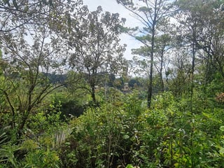 Terreno en Venta en Altos de San Vicente, Sta Catarina Pinula - 4