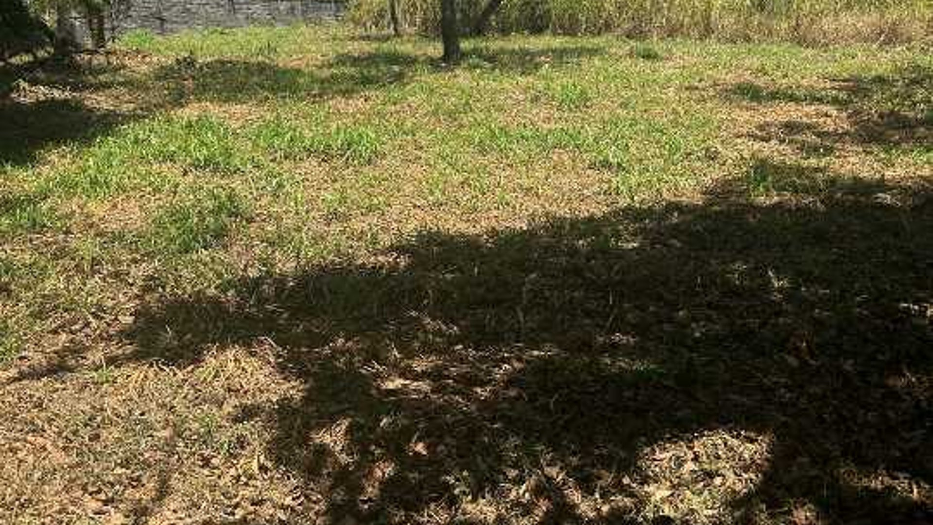 Venta de Terreno plano en Residencial Casa & Campo CAES