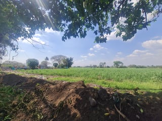 Venta de 7 manzanas de terreno en Masagua, Escuintla | Completamente planos - 4