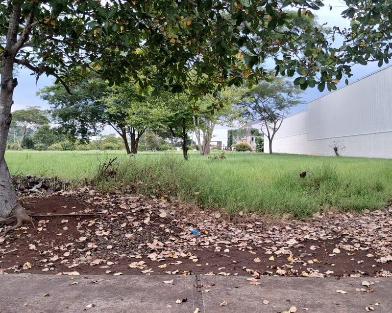 Terreno Industrial en Renta | Parque Industrial Tecnopark, Taxisco
